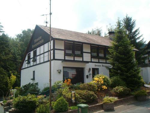 Pension Sonnenschein Schmallenberg Exterior foto