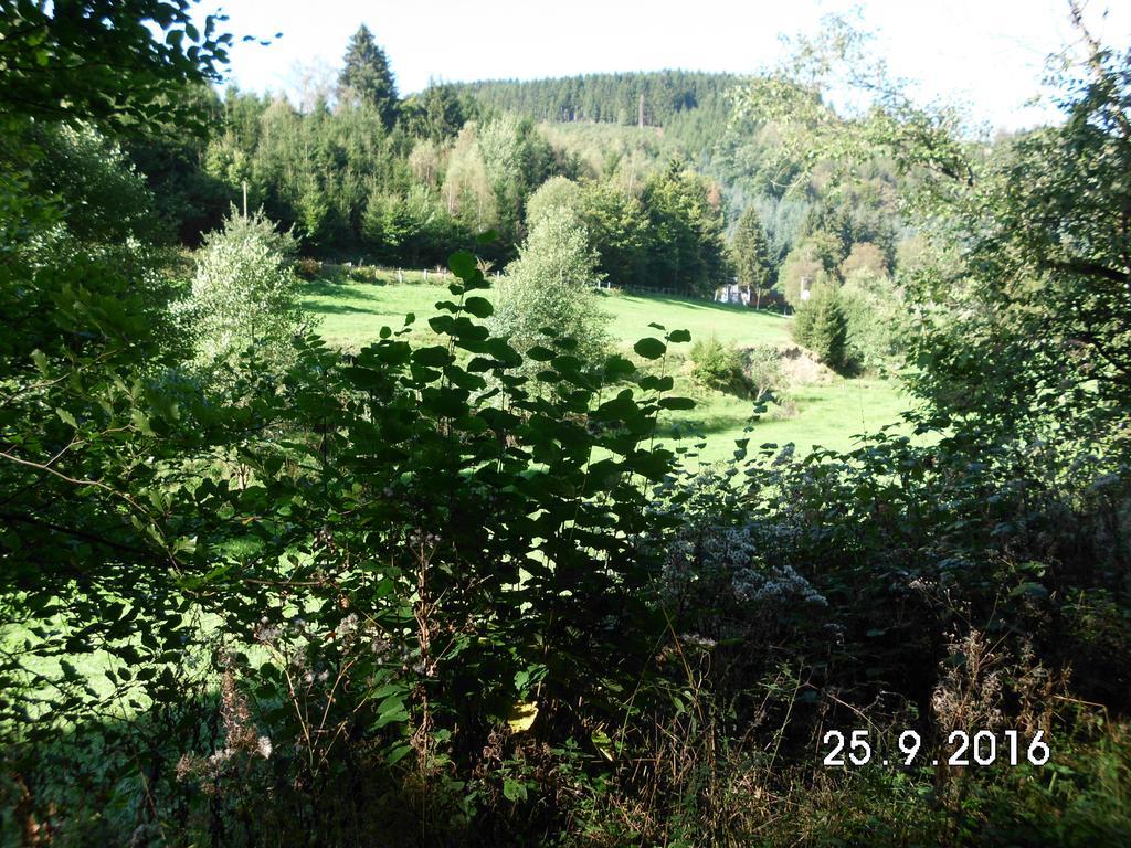 Pension Sonnenschein Schmallenberg Exterior foto